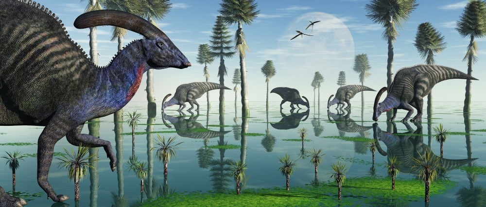 Parasaurolophus Dinosaurs Feeding Fine Art Print