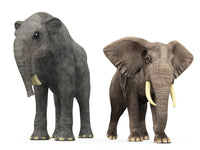 Deinotherium vs African Elephant Fine Art Print