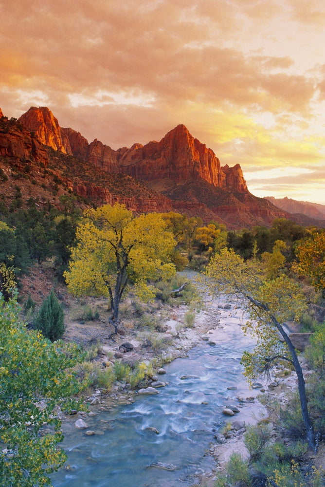 Evening Light on Watchman Peak Fine Art Print by Russ Bishop