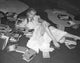 Anne Francis Books Photo Print - Multiple Sizes Available