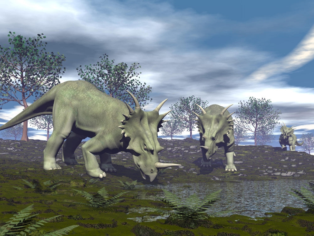 Three Styracosaurus Dinosaurs Drinking Fine Art Print