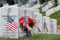American Flags at Arlington National Cemetery - Memorial Day Poster Print
