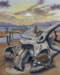 Triceratops Skull with Early Mammals Fine Art Print