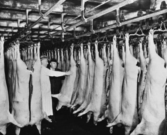Two Men Inspecting Meat in a Chicago Slaughterhouse Poster Print