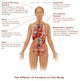 Effects of Cocaine Use Fine Art Print by Science Source