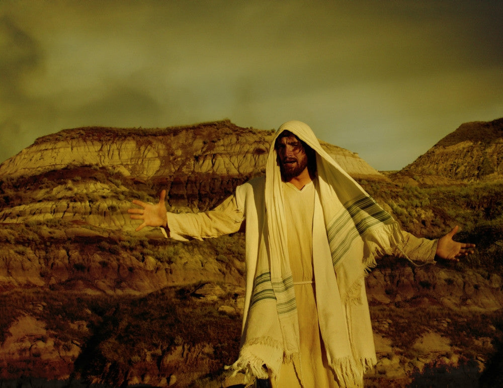 Jesus In The Wilderness Fine Art Print by Don Hammond