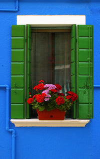 Vibrant Blue Building with Green Shutters Art Print by Carson Ganci