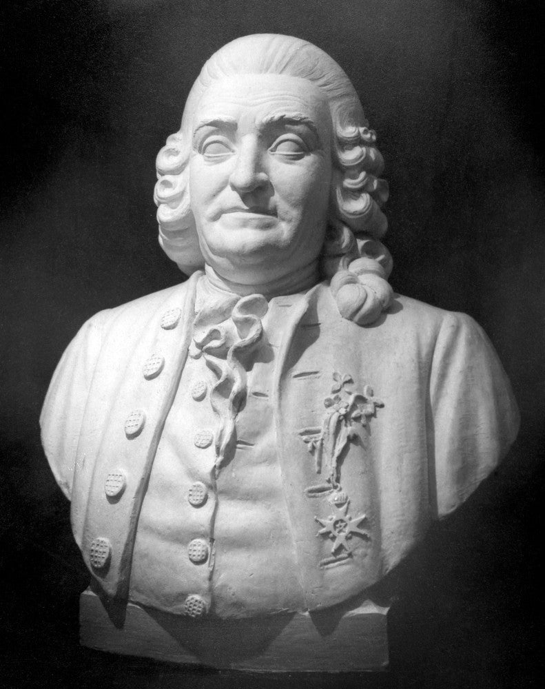 Carolus Linnaeus Sculpture Bust Poster Print by Moissaye Marans