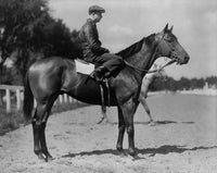 Charles S. Howard's Favorite Picture of Seabiscuit Poster Print