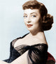The Bounty Hunter 1954 Photo Print | Poster Art
