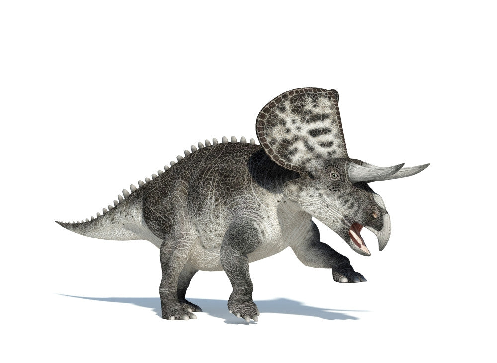 3D Zuniceratops Dinosaur Fine Art Print - Perfect for Any Space