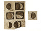 Galileo's Phases of the Moon Fine Art Print by Science Source