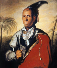 Cherokee Chief Kanagagota (Standing Turkey) Fine Art Print by Francis Parsons