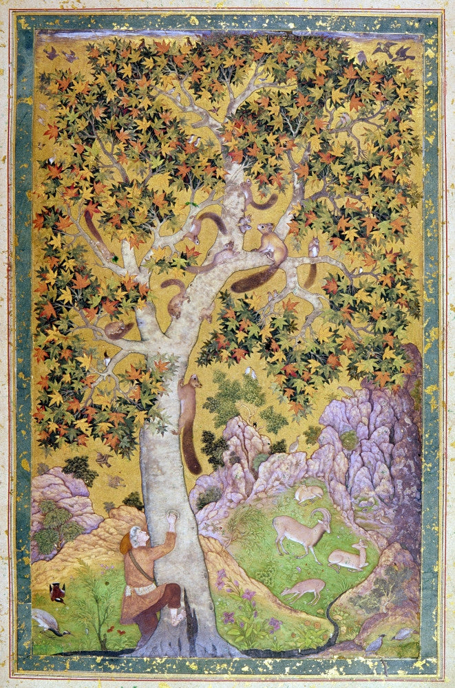 India: Family of Squirrels in a Chinar Tree Fine Art Print by Abu'L Hasan