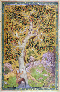 India: Family of Squirrels in a Chinar Tree Fine Art Print by Abu'L Hasan