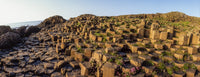 Giant's Causeway Fine Art Print by The Irish Image Collection