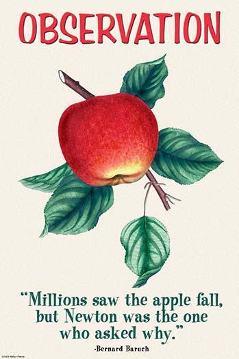 Millions Saw the Apple Fall - Poster Print by Bernard Baruch