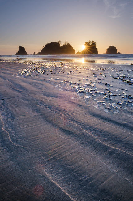 Sunset on Shi Shi Beach Fine Art Print by Alan Majchrowicz
