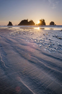 Sunset on Shi Shi Beach Fine Art Print by Alan Majchrowicz