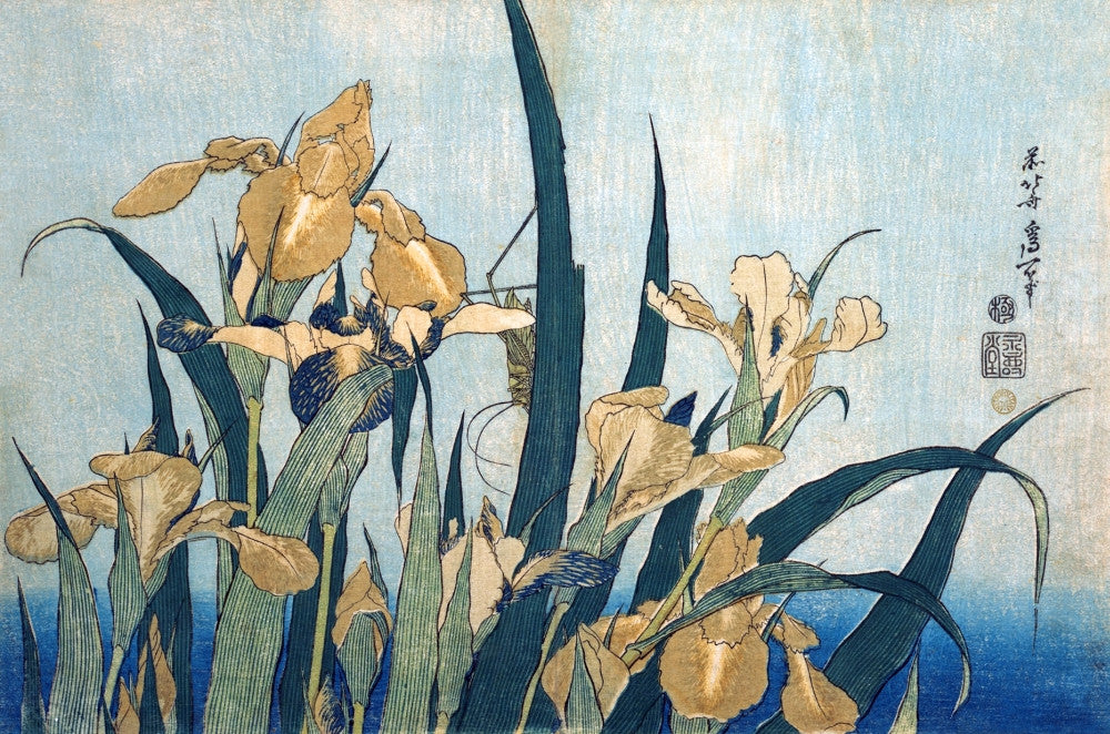 Grasshopper & Irises Fine Art Print by Hokusai