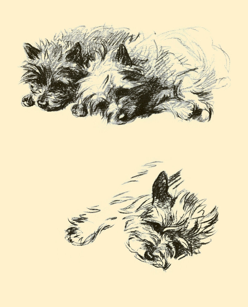 Pencil Dog Illustration Fine Art Print by Lucy Dawson | Dogs Rough & Smooth