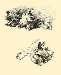 Pencil Dog Illustration Fine Art Print by Lucy Dawson | Dogs Rough & Smooth