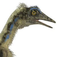 Archaeopteryx Jurassic Period Poster Print - Fine Art by StockTrek Images