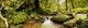 Natural Forest of Magoebaskloof Fine Art Print by Panoramic Images