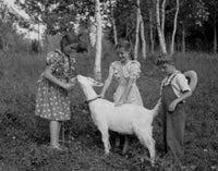 Boy and Girls Playing with Goat Fine Art Print - Various Sizes