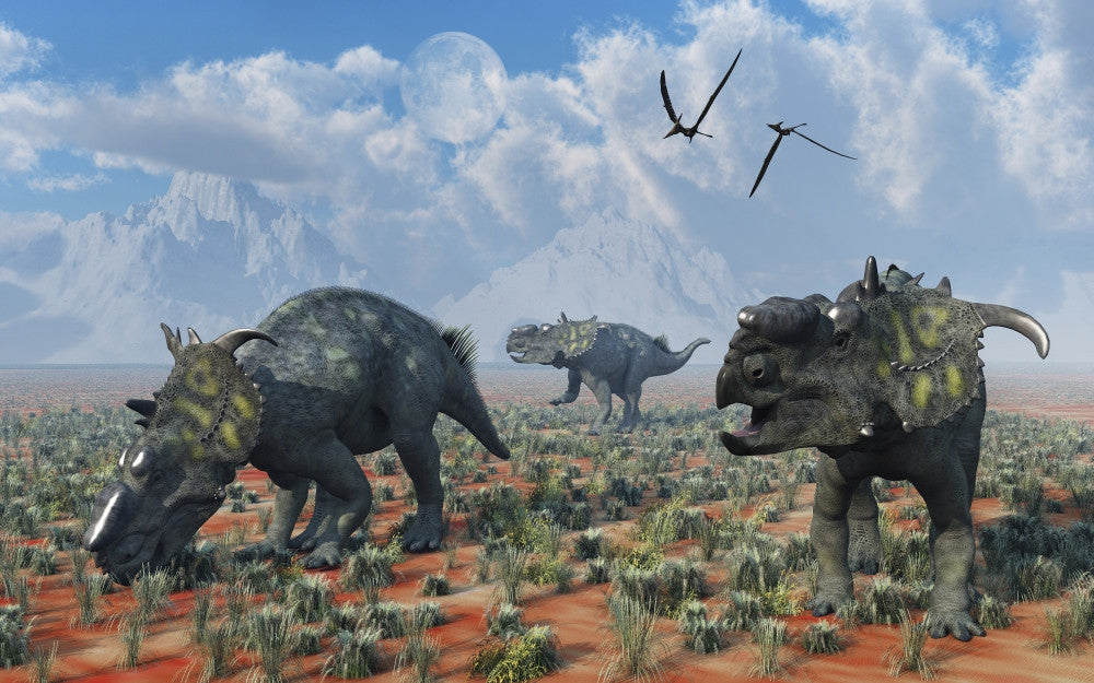 Pachyrhinosaurus Dinosaurs Grazing Fine Art Print