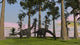 Large Brachiosaurus Dinosaurs Grazing Among Trees Poster Print