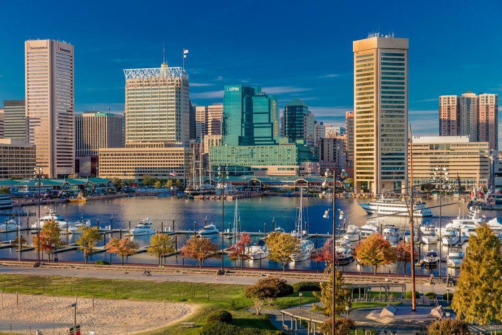 Panoramic View of Baltimore Inner Harbour Fine Art Print
