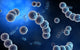 Microscopic View of Streptococcus Fine Art Print