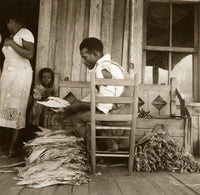 Sharecropper Fine Art Print by Dorothea Lange - 1938