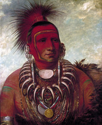 Little Wolf Fine Art Print by George Catlin - C1844