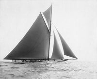 America's Cup 1901 Poster Print - Yacht 'Independence' by Granger Collection