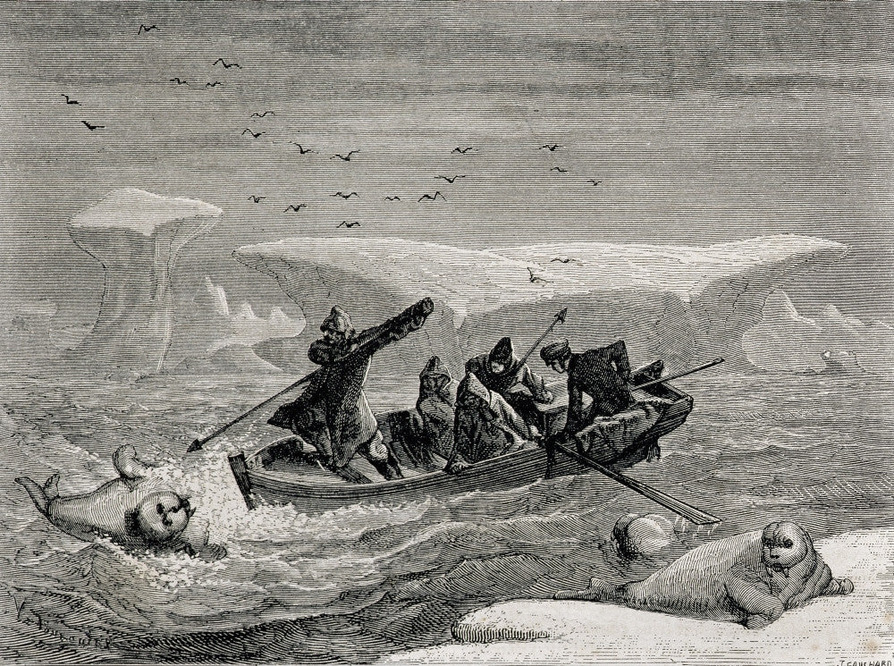 Hunting Walrus Engraving from 19th Century Spitsbergen Islands Fine Art Print