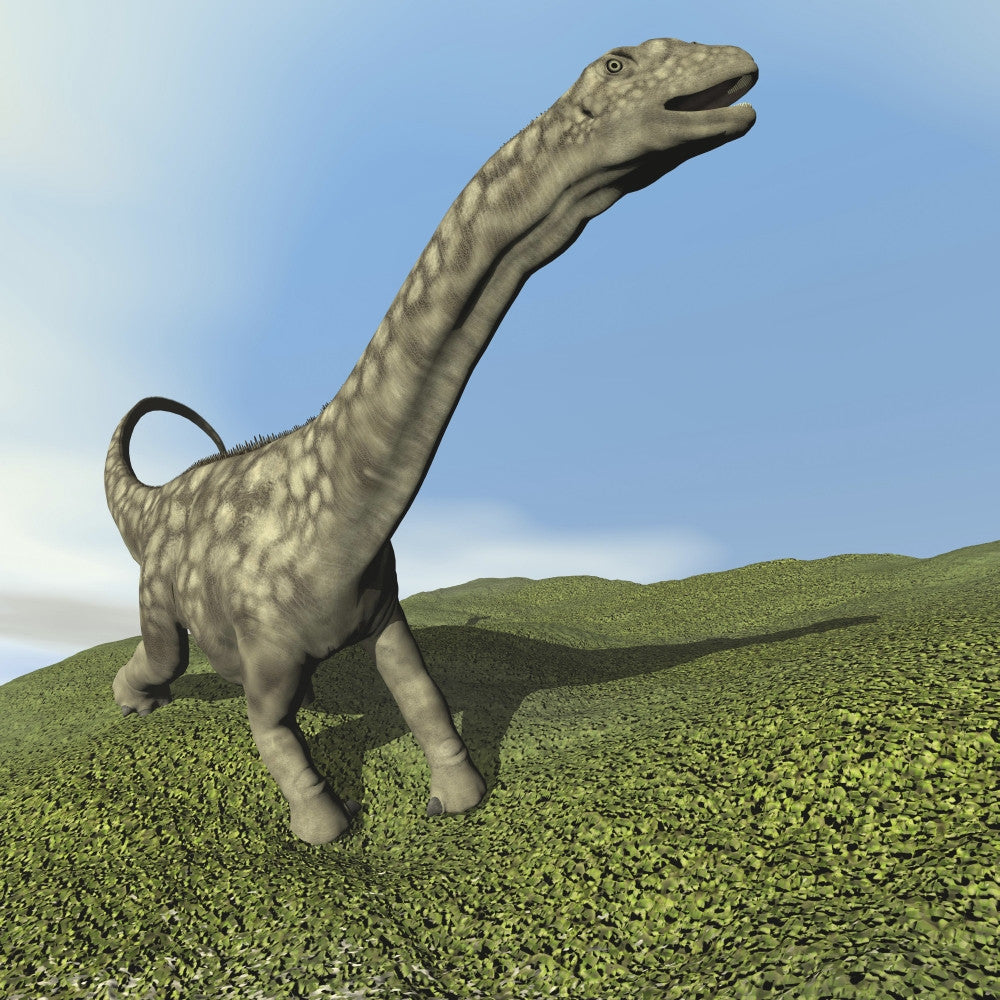 Argentinosaurus Dinosaur Walking on Grass Fine Art Print