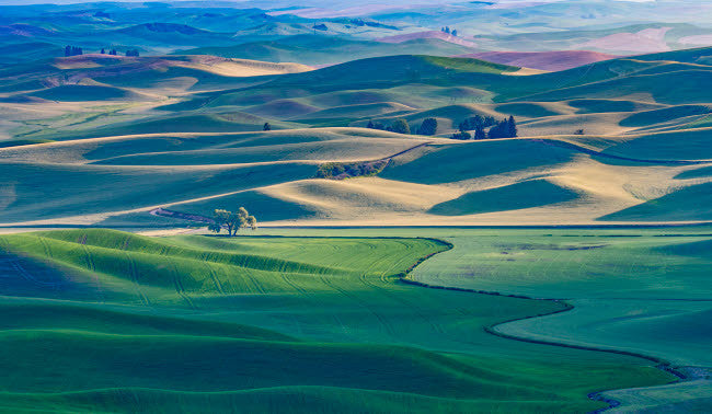Palouse Sunrise Fine Art Print by George Theodore - 24x18