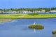 Great White Egret Marsh Fine Art Print by William Perry