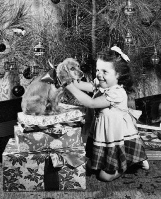 Side Profile of a Girl Tying a Ribbon Around a Puppy Fine Art Print