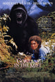 Gorillas in the Mist Movie Poster Print - 27x40