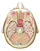 Transverse Section of the Midbrain Fine Art Print