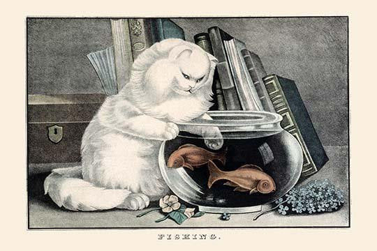 Cat with Paw in Fish Bowl Fine Art Print by E.B. & E.C. Kellogg