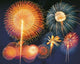 Ignited Fireworks Photo Print by Panoramic Images (24x20)