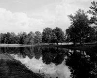 Tranquil Lake Fine Art Print | Posterazzi