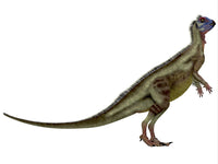 Hypsilophodon Cretaceous Period Dinosaur Poster Print