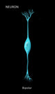 Bipolar Neuron Fine Art Print by Monica Schroeder