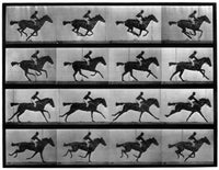 Muybridge: Locomotion Fine Art Print - Racehorse 'Annie G.'
