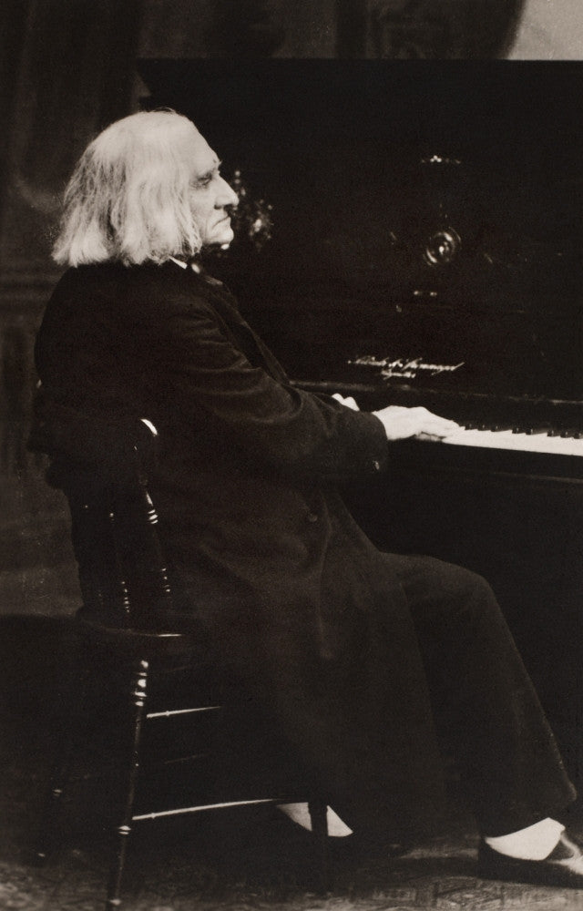 Franz Liszt Hungarian Pianist and Composer Fine Art Print